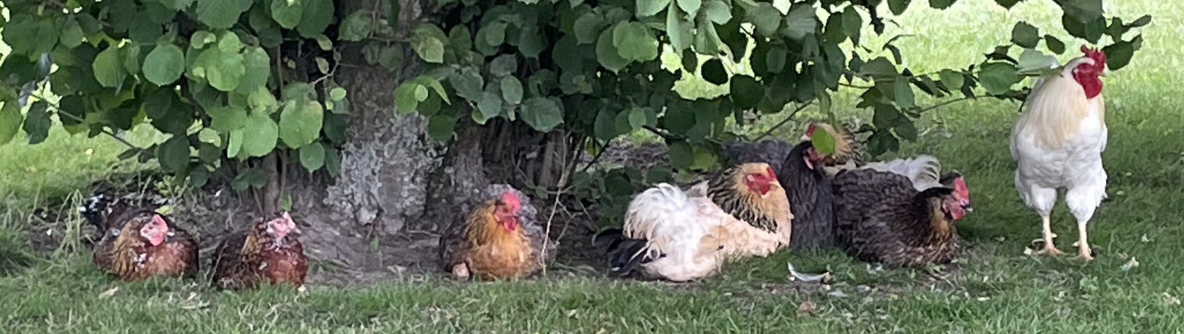 Ferienwohnung in Reichenwalde